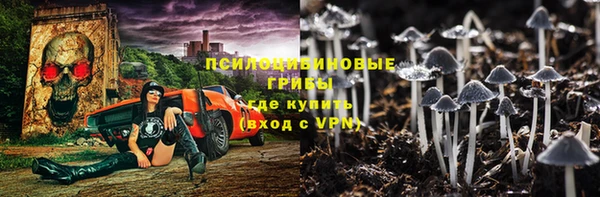 прущая мука Няндома