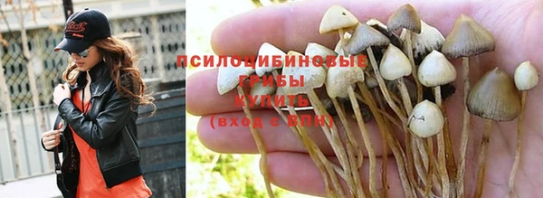 сатива Медвежьегорск
