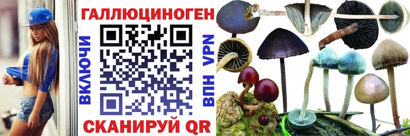 Псилоцибиновые грибы Psilocybine cubensis  магазин  наркотиков  hydra как войти  Суздаль 